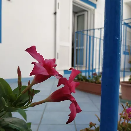 Apartamento Scala Blu - Immobilevante